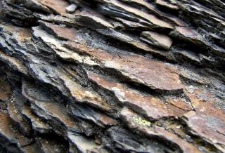 Shale 
